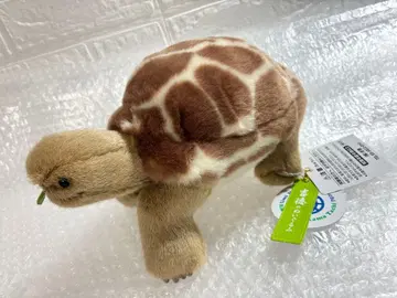 요시토쿠 육지거북 21.1 x 12.2 x 11.2 cm 봉제 인형