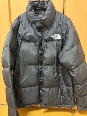 THE NORTH FACE 다운 자켓