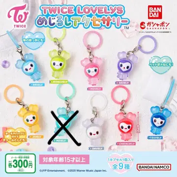 TWICE LOVELY 메지루시 액세서리 세미 컴프