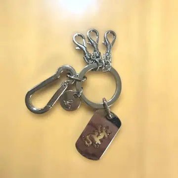 애니에스베 키링