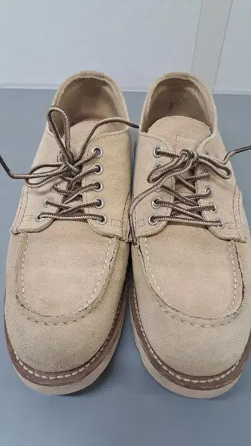 레드윙 8079 착용 적음 레드윙 옥스퍼드 세터