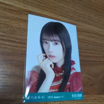 노기자카46 야타 모에카 브로마이드 요리