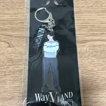 웨이션V WayV 쿤 WayV LAND 아크릴 키링