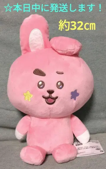 BT21 The Journey 모후굿 봉제 인형 vol.1 [Cooky]