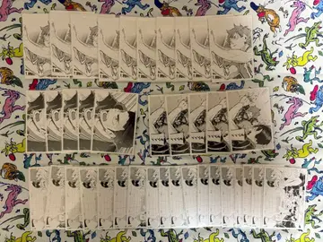 하이큐!! 크로니클 포토 카드 히나타 카라스노 사와무라 히나타&카게야마