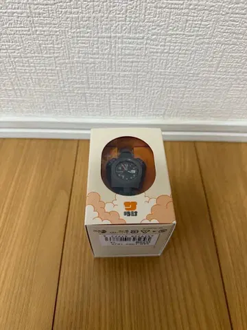 카시오 CASIO 사우나 손목시계 SAN-100H-1BJR 블랙