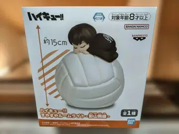 하이큐!! 스야스야 룸 라이트 약 15cm