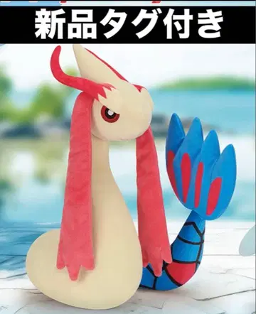 포켓몬 프라이스 모후굿토 봉제 인형 밀로로스 택 포함 새상품