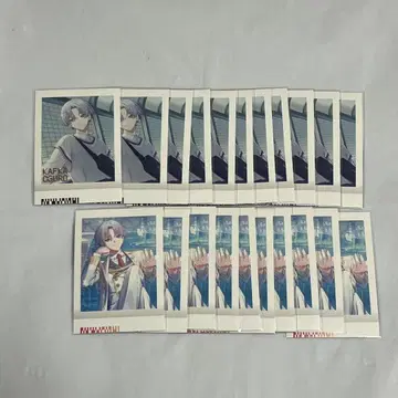 18TRIP 에이트리 파샤코레 가불가 금박