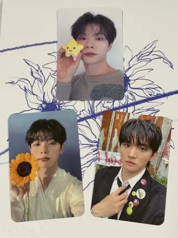 LUCY 선 앨범 예찬 원산 세트