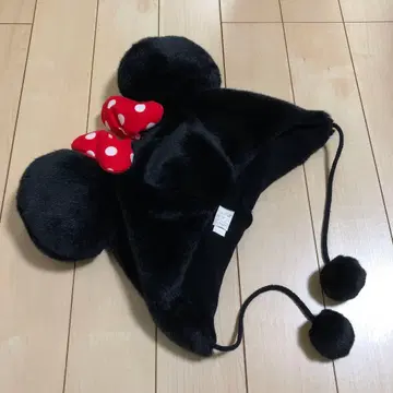 디즈니랜드 미니 팬캡