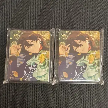 사쿠마 레이 아니카페 코롯타 앙스타