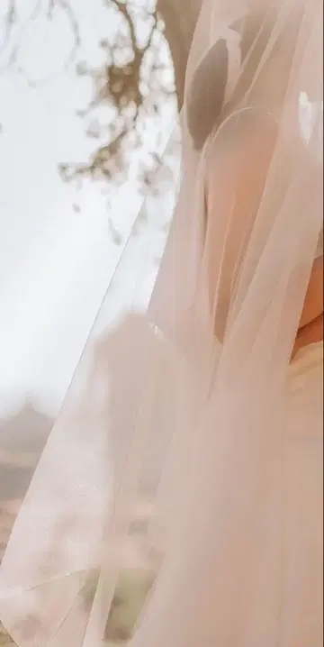 안테리베 웨딩 베일 결혼식