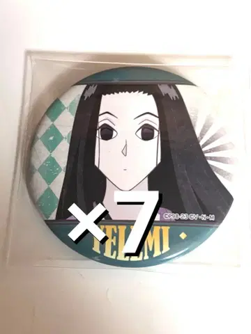 HUNTER x HUNTER 이르미 조르딕 빈티지 캔뱃지