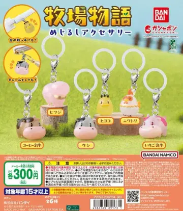 전 6종 컴프 목장 이야기 메지루시 액세서리