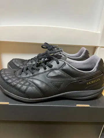 모렐리아사라 JAPAN TF 25.5