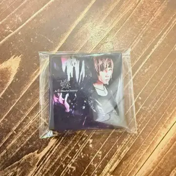 Acid Black Cherry 마그넷B 나비 보통 자켓