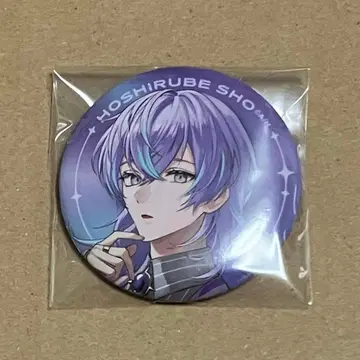 Half Anniversary 하프애니버서리 호시미치 쇼 등신 캔뱃지