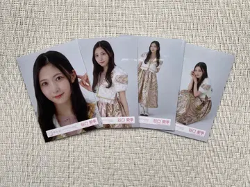 사쿠라자카46 타니구치 아이리 5th TOUR 2025