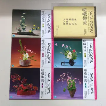 사가고류 이케바나 기법집 생화 성화 병화 장엄화 문인화 5권 세트