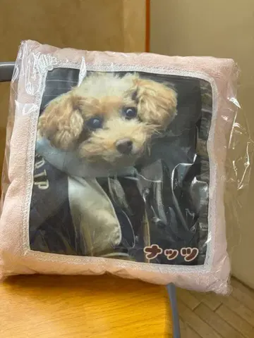 토이 푸들 쿠션 핑크