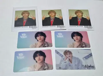 나니와단시 미치에다 슌스케 클리어 솔로 카드 폴라로이드풍 카드