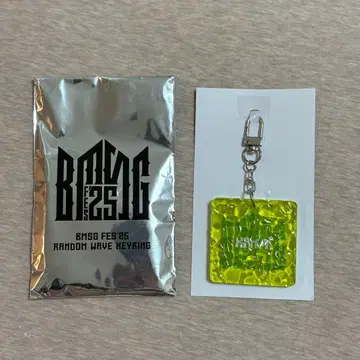 bmsgfes25 랜덤 웨이브 키링 KANON 카논