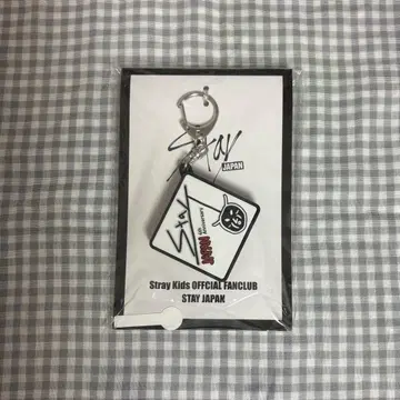 StrayKids Leeknow FC 한정판 보이스 키링
