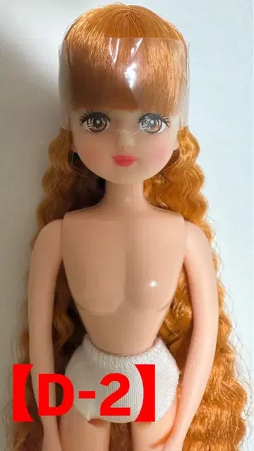 [ D-2 ] 즐거운 인형 팔레트 F