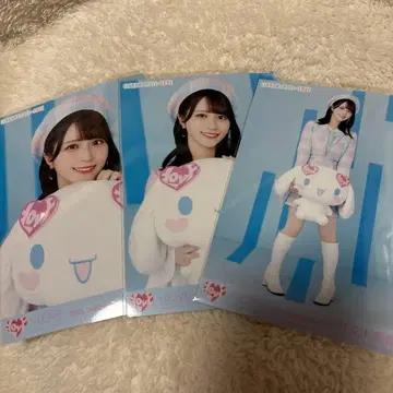 사사키 마이카 브로마이드 시나모롤 콜라보