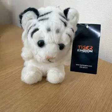 TIGER KINGDOM 봉제 인형 화이트