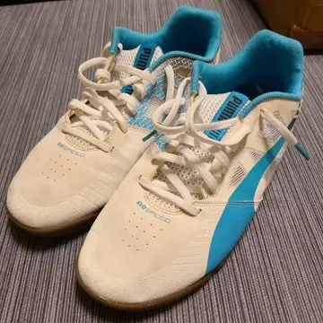 PUMA EVOSPEED 에보 스피드 풋살화 27.5cm