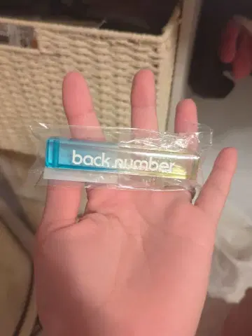back number 아크릴 키링