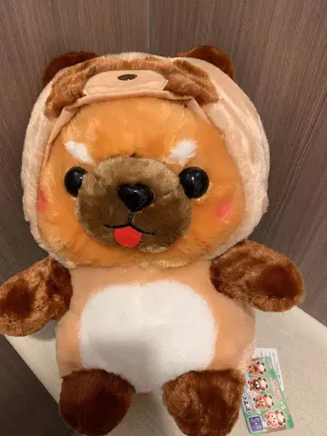 콩 시바 삼형제 포테구루미 너구리 마메사부로 울트라 BIG 봉제 인형