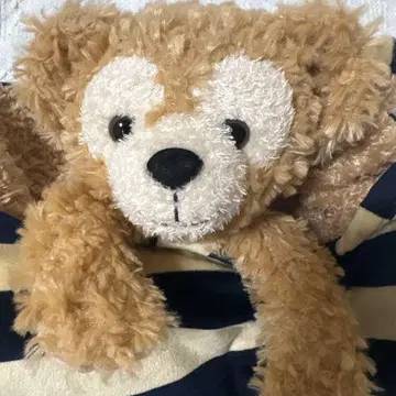 디즈니씨 더피 담요