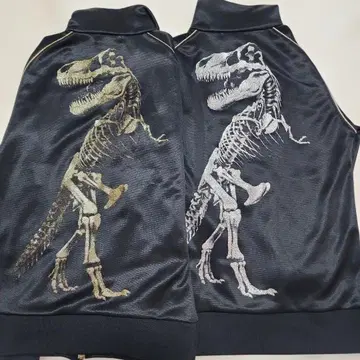 초레어 DRESSCAMP x 챔피온 t-rex 골드&플래티넘 L