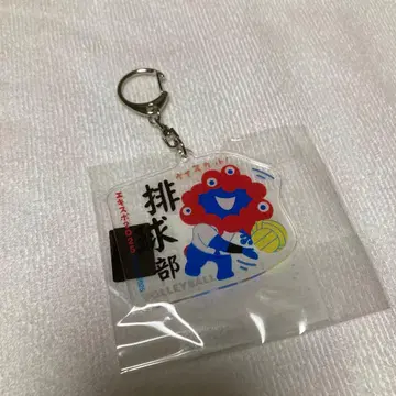 미야쿠미야쿠 밸리 배구부 동아리 활동 키링 EXPO2025 만박 한정판