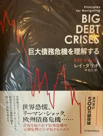 거대 채무 위기를 이해하다