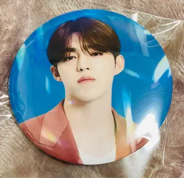 SEVENTEEN 에스크 캔뱃지