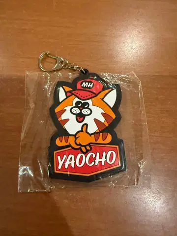 안녕, 청춘의 빛 단독 라이브 팔백장 한정판 키링