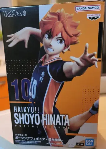 하이큐!! 히나타 쇼요 포징 피규어 10