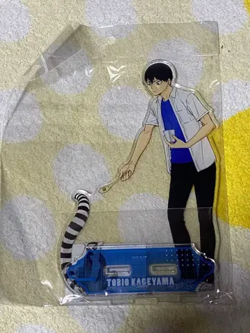 하이큐 카게야마 토비오 BIG 아크릴 스탠드