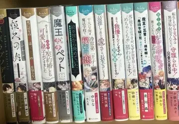 bl 소설 묶음 판매 대형 사이즈 13권 안달슈 노벨즈 세트