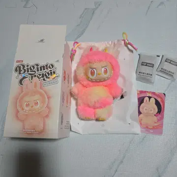 러브브 Big into Energy 에너지 LOYALTY