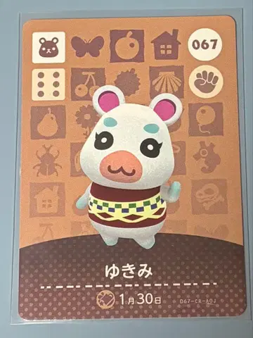 amiibo 카드 유키미