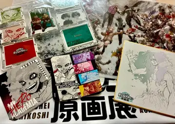 호리코시 코헤이 [ 나의 히어로 아카데미아 ] 원화전 세트 판매