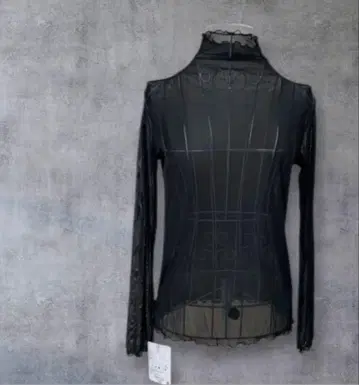 시스루 메로우 티셔츠 하이넥 시어 터틀 블랙 비침