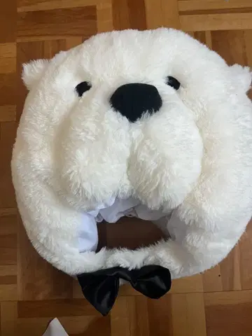 USJ SPY x Family 본드 팬캡