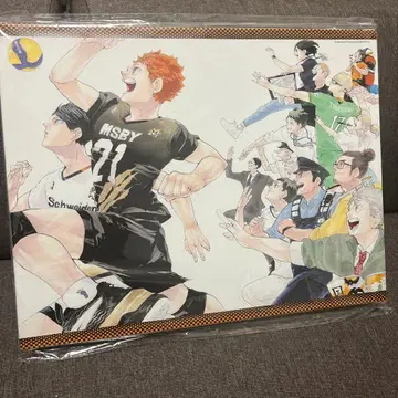 하이큐 아트 보드 카라스노 고교 졸업생