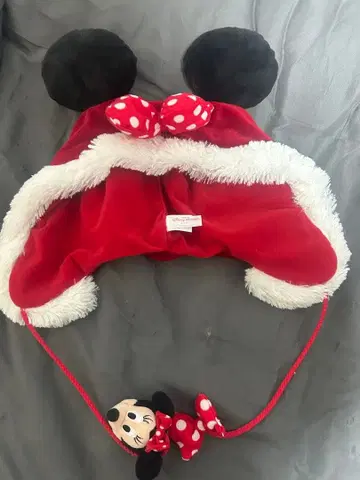 디즈니 미니 팬캡